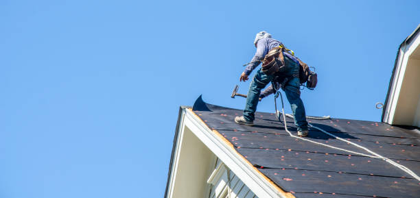 Roof Gutter Cleaning in Mendota, CA